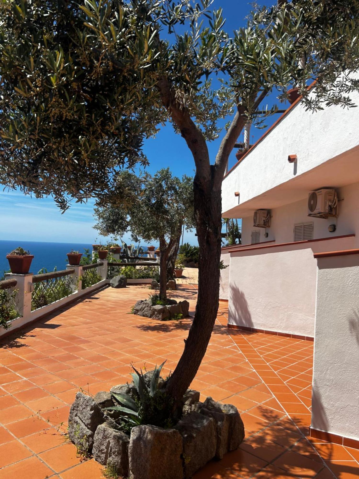 Hotel Punto Azzurro Forio di Ischia Eksteriør bilde