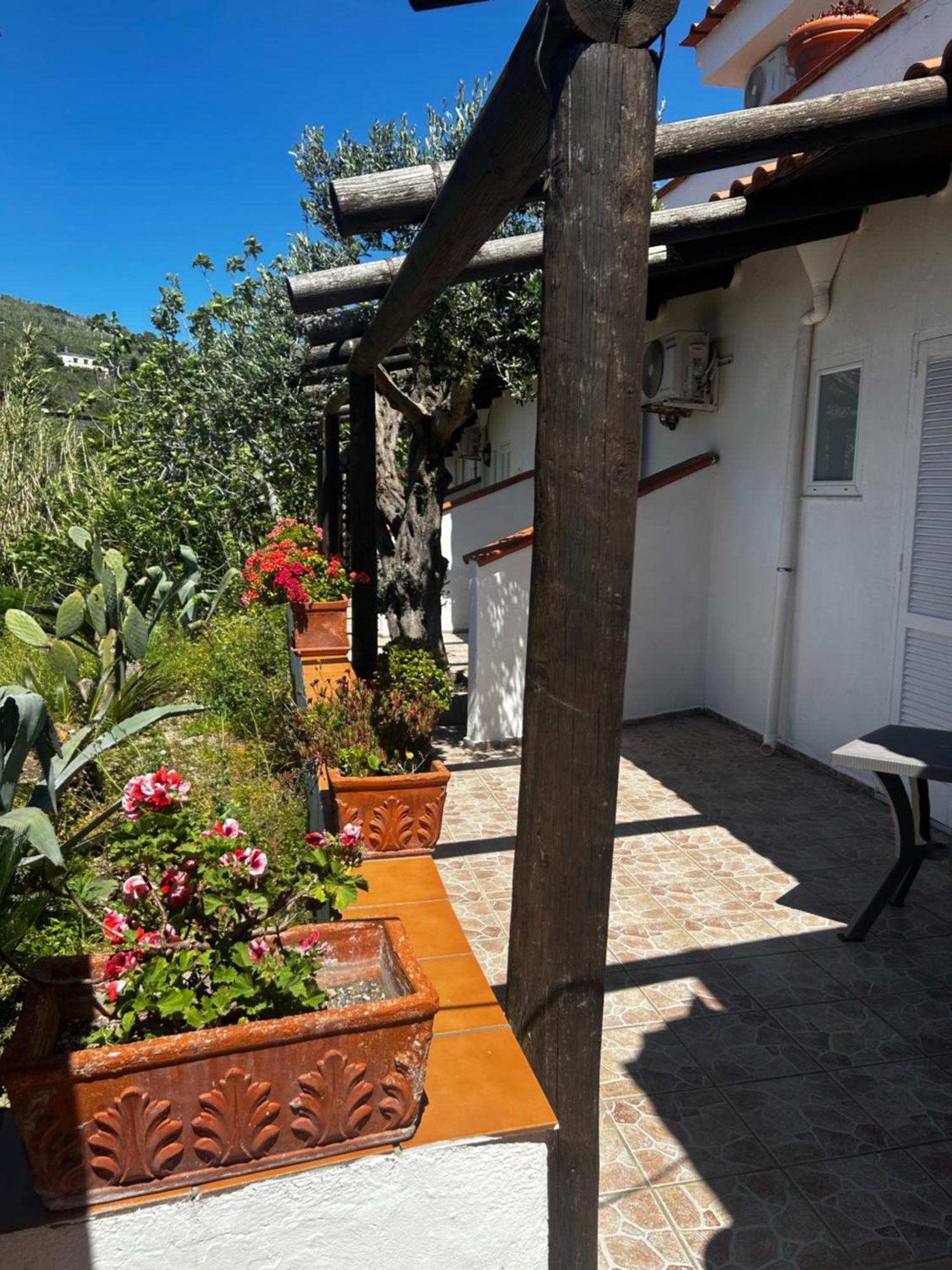 Hotel Punto Azzurro Forio di Ischia Eksteriør bilde