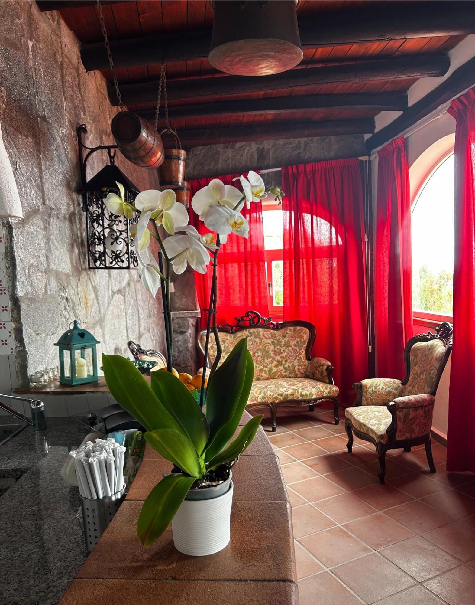 Hotel Punto Azzurro Forio di Ischia Eksteriør bilde